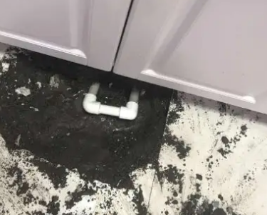 双鸭山查漏水哪家好